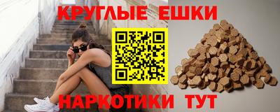 PSILOCYBIN Заводоуковск