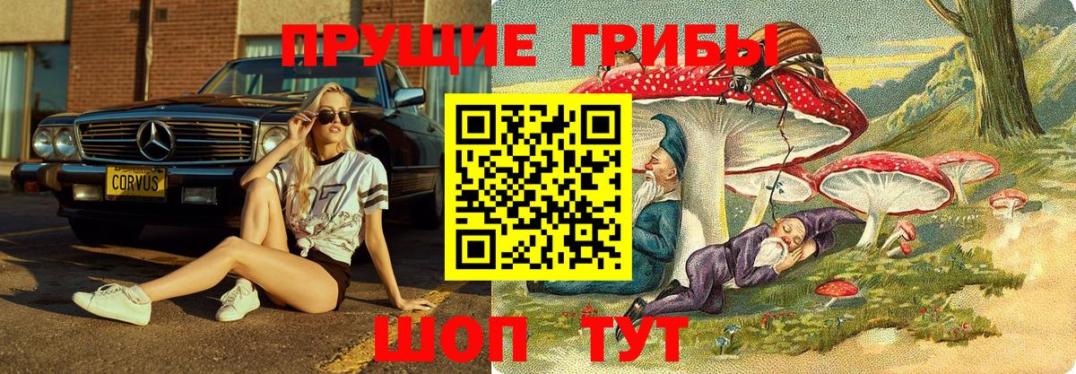 Псилоцибиновые грибы Cubensis Заволжье