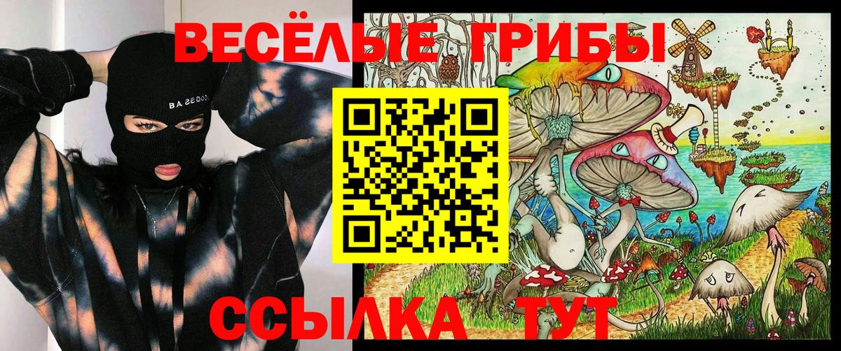 Галлюциногенные грибы GOLDEN TEACHER  Вход с VPN  Заволжье 