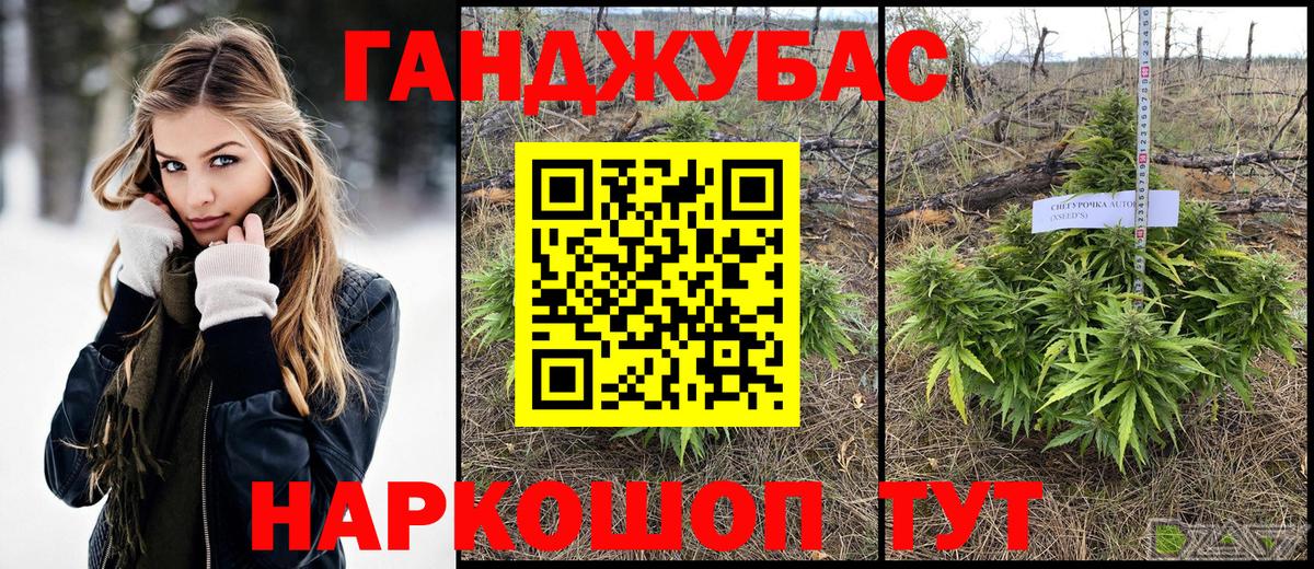 Заволжье  Конопля AK-47  МАРИХУАНА Ganja  МАРИХУАНА семена  Вход с VPN 